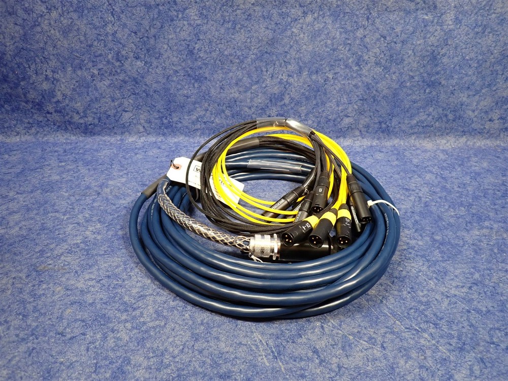 Whirlwind FM120NRW1IF-050 39Pin W1IF-W13M 12CH Fan Out Snake XLR Cable 50′ (J3)