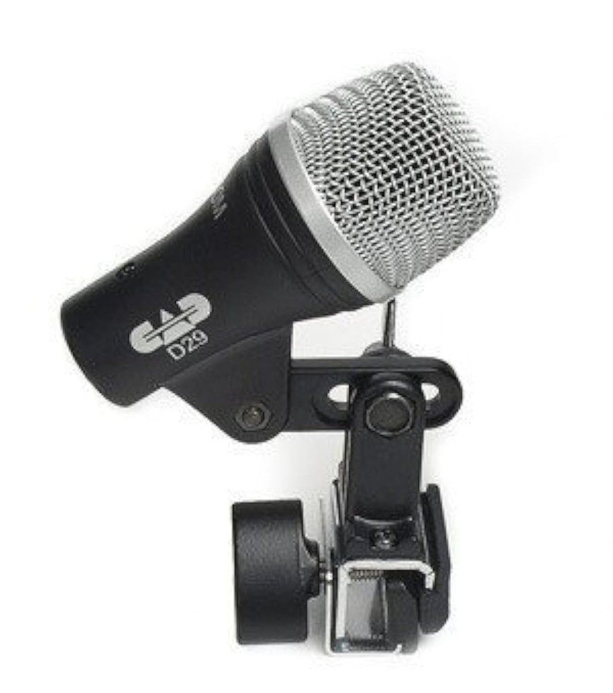 CAD Audio D29