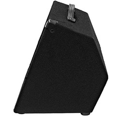 Seismic Audio – SA-10M.3 – Pro 10 Inch 2-Way Floor Single, black