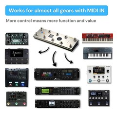 Paint Audio MIDI Captain Foot Controller with Dual Outputs Expression Silver