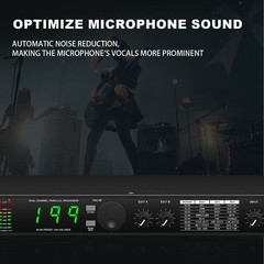 Professional Digital Reverberation Multi Processor Audio Processor4252