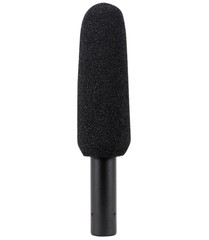 Audio Technica AT875R Short Shotgun Condenser Microphone w/ Line+Gradient DV Mic