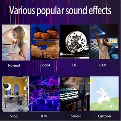 Sound Effect Changer Plug And Play 16 Sound Modes Portable Voice Changer For