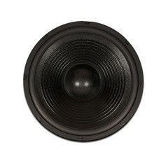 Goldwood Sound GW-212/4 OEM 12″ Woofer 240 Watts 4ohm Replacement Speaker