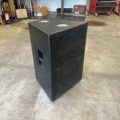 Custom Built Pro Two Way Speakers 12” with horn driver