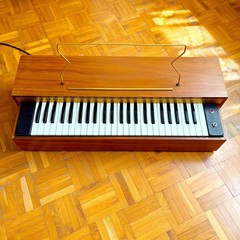 Super Rare Farfisa Reed Pumped Air Organ (Italy, 1950s) Vintage Electric Organ!