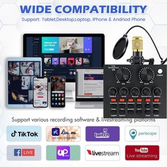 Home Studio Recording Kit Mixer Condenser Microphone Bundle for Music Podcast