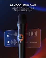 soundcore Rave 3S AI Karaoke Party Speaker +2 Wireless Microphones 200W for Home