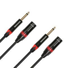 Rannsgeer 2 Pack 1/4″ TS to XLR Male Cable (2 Pack) R730xx