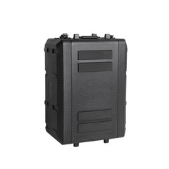 Diandian 4U Rack Case Shallow 12″ Depth, 19″ Rackmount Flight Case, Watertigh…