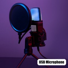 Microphone Mic Kit Broadcasting Singing Studio Recording Condenser USB PC Laptop
