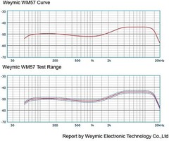 WM57 Cardioid Dynamic Instrument Microphone