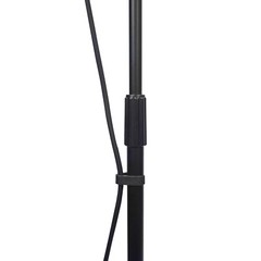 Professional Microphone Stand Pair w 2 Mic Clips, Detachable Boom & Bags