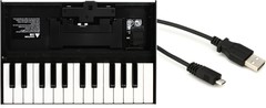 Roland K-25M + StarTech.com UUSBHAUB6 Value Bundle