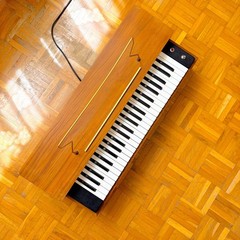 Super Rare Farfisa Reed Pumped Air Organ (Italy, 1950s) Vintage Electric Organ!