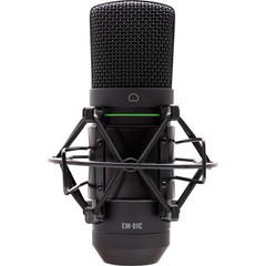Professional Audio Condenser Microphone Mic Studio Recording, Stand & Headphones