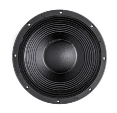 B&C 12TBX100 12″ Hi-Performance Subwoofer 2000 Watts 8-Ohm Bass Woofer Speaker.