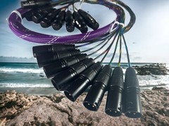 Canare Custom | 8 Channel Balanced Studio Snake Cable, HIFI XLR M/F