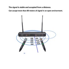 Audio UHF Wireless Microphone System 2CH Handheld Church Dynamic KaraoK Mic KTV