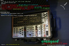 NEW! Avantgarde Sound • The Peresvet • 186hp Powered Eurorack Case w/Wheels!