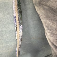 Gray genuine Fur & leather Trim wolf / eagle Native American style Flute bag