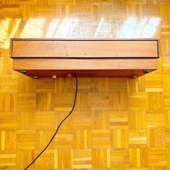 Super Rare Farfisa Reed Pumped Air Organ (Italy, 1950s) Vintage Electric Organ!