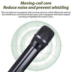 2.4G Wireless Microphone Handheld Dynamic Mic Rechargeable D100 1TX1RX