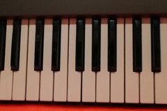 USED Roland JX-8P Synthesizer Keyboard JX 8P Worldwide shipment U1910 230216