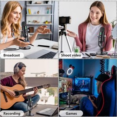 USB Microphone Metal Condenser Mic:Plug&Play Gaming Microphones on PC,Mac,Twi…