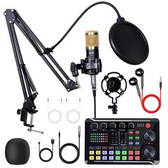 Home Studio Mixing Console Live Studio Audio DJ Sound Mixer Condenser Microphone