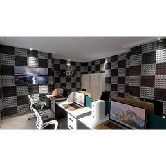 Soundproof Foam Acoustic Foam Panel Noise Cancelling for Home Office Studio Wall