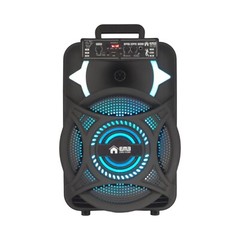 EMB PKL12BT 1000w 12″ Trolley Speaker with AUX, Lights, FM, USB with Bluetooth