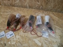 Toys Pure Viking Acoustic Blow Horn Lot of 6 – 1 no tag, 2 no bag, 3 sealed.