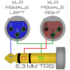 Dual XLR 3 Pin Female to 6.3 mm TRS Stereo Breakout Adapter Cable