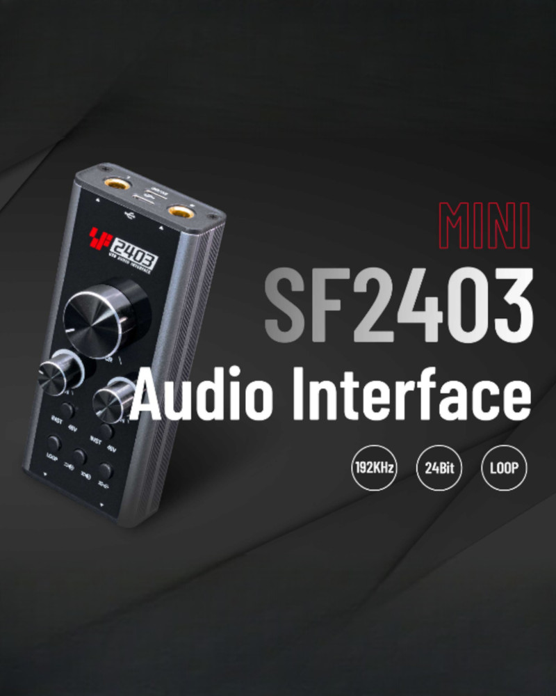 Simplefly SF2403 Analog Dual-Channel 24bit/192kHz AD/DA Converter w/ USB-C