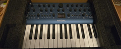 Modal Ltd Cobalt8 37-Key 8-Voice Virtual Analog Cobalt 8