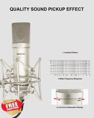 SUUNTOK TM87KB Condenser Mic Champagne