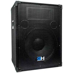 Passive 15 Inch 2-Way PA/DJ Loudspeaker Cabinet – 800 Watt Full Range PA/DJ Band