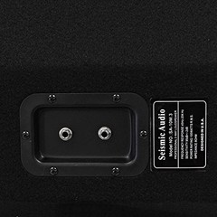 Seismic Audio – SA-10M.3 – Pro 10 Inch 2-Way Floor Single, black