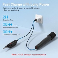 Rechargeable 2.4G Cordless Microphone System with Mute Function for Home Parties