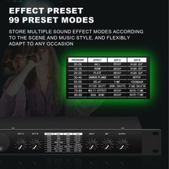 Professional Digital Reverberation Multi Processor Audio Processor4252