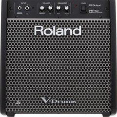 Roland PM-100 High-Resolution 80 W Sound Monitoring for V-Drums