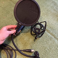 Blue Microphones Blackout Spark SL Large-Diaphragm Condenser Microphone
