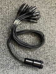 Gepco DT12 Breakout Fan Out XLR Female Cable 3ft TESTED