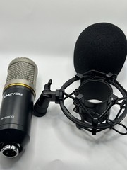 ZINGYOU BM-800 & Shock Mount