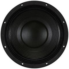 B&C 12TBX100-4 12.0-in Woofer W/4 Ohms Impedance & 2000 Watts Continuous Power