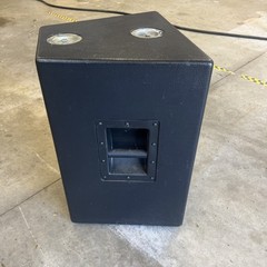 Custom Built Pro Two Way Speakers 12” with horn driver