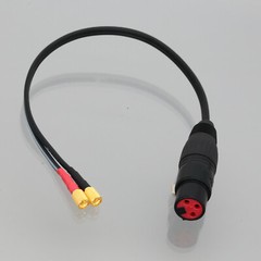 Balanced XLR Jack 3Pin to +/- Hot/Cold Dual Microdot 1FT MIC Preamplifier cable