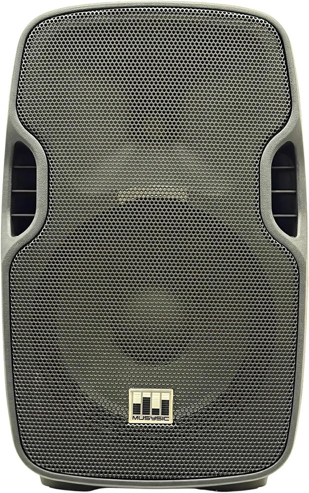 12-Inch Passive PA Speaker 1000W Peak / 250W RMS, 2-Way Loudspeaker W/Titanium C