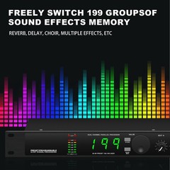 Professional Digital Reverberation Multi Processor Audio Processor4252